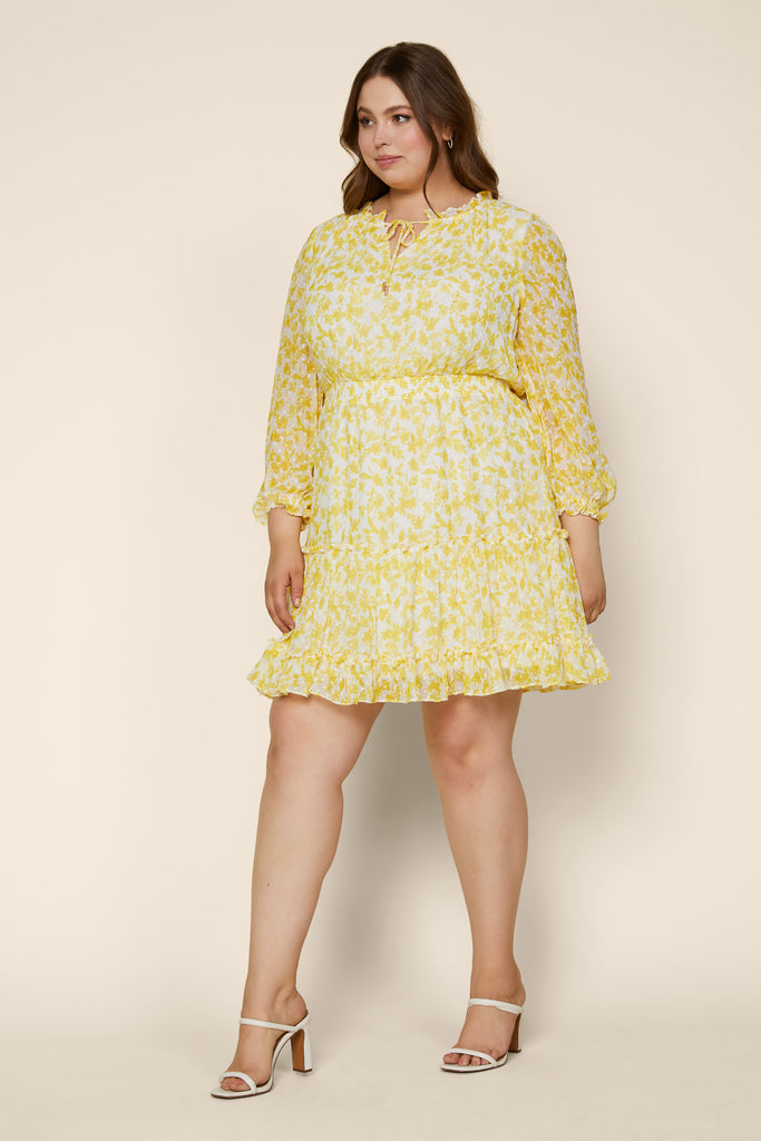 Plus Size - Sweet Floral Mini Dress