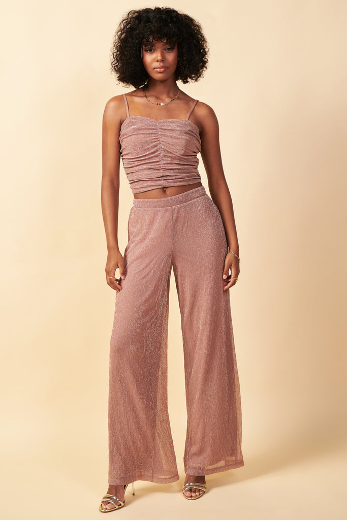 Metallic Mesh Pants