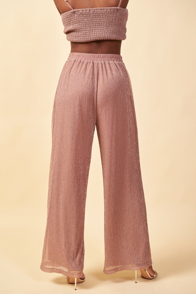 Metallic Mesh Pants