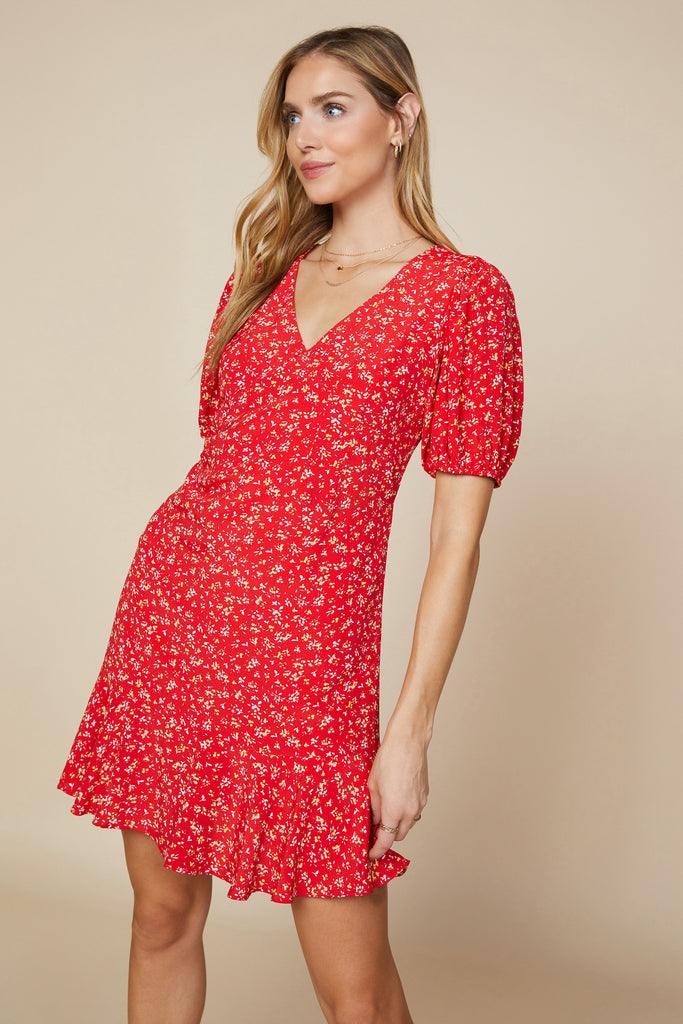 Floral Print Mini Dress